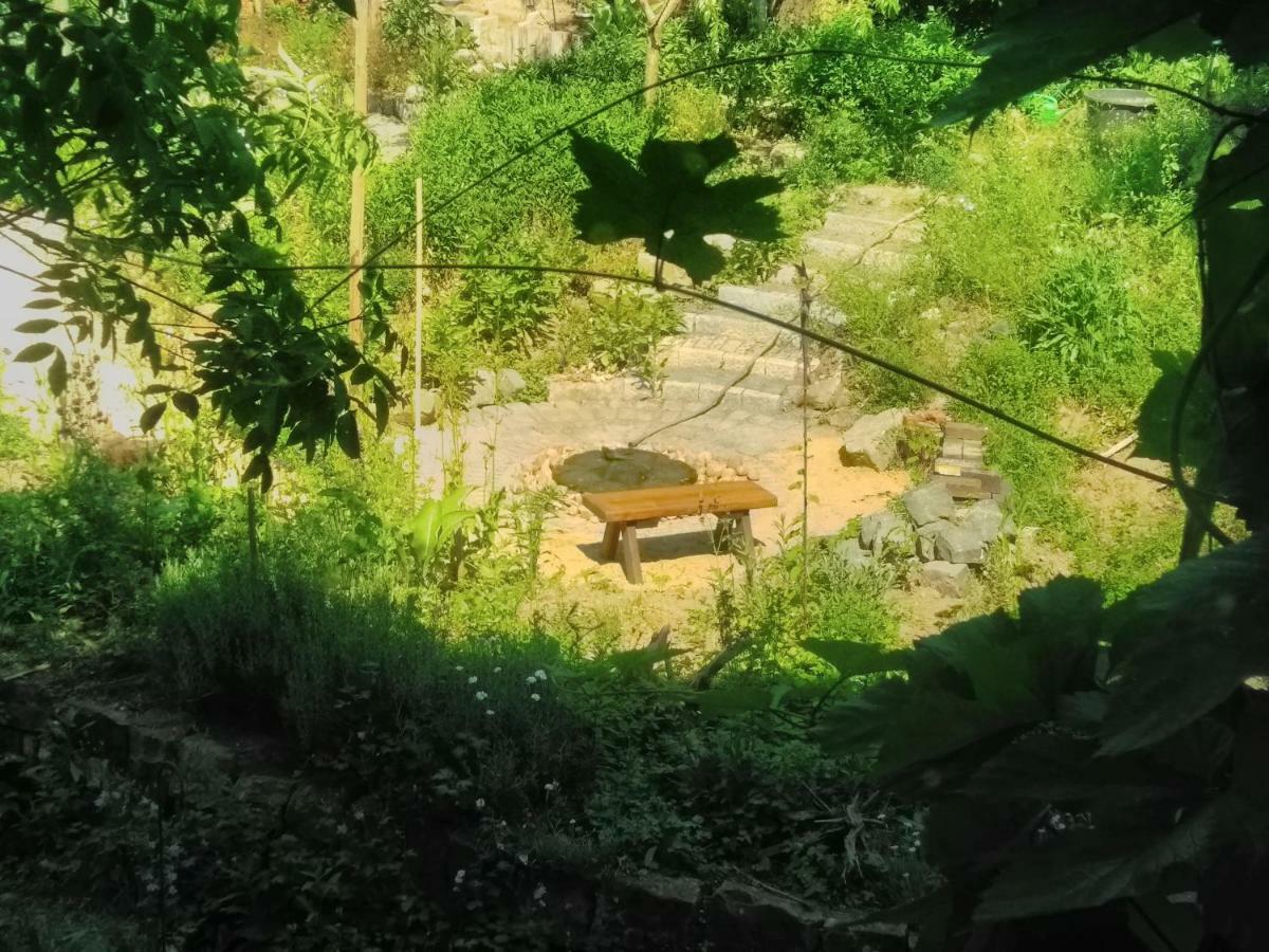 Gaestewohnung Im Naturgarten Naehe Steinhuder